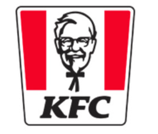 Partner company 1